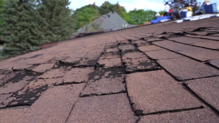 Best Skylight Installation and Repair  in Grand Coulee, WA