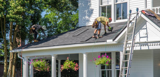 Best Roof Maintenance and Cleaning  in Grand Coulee, WA